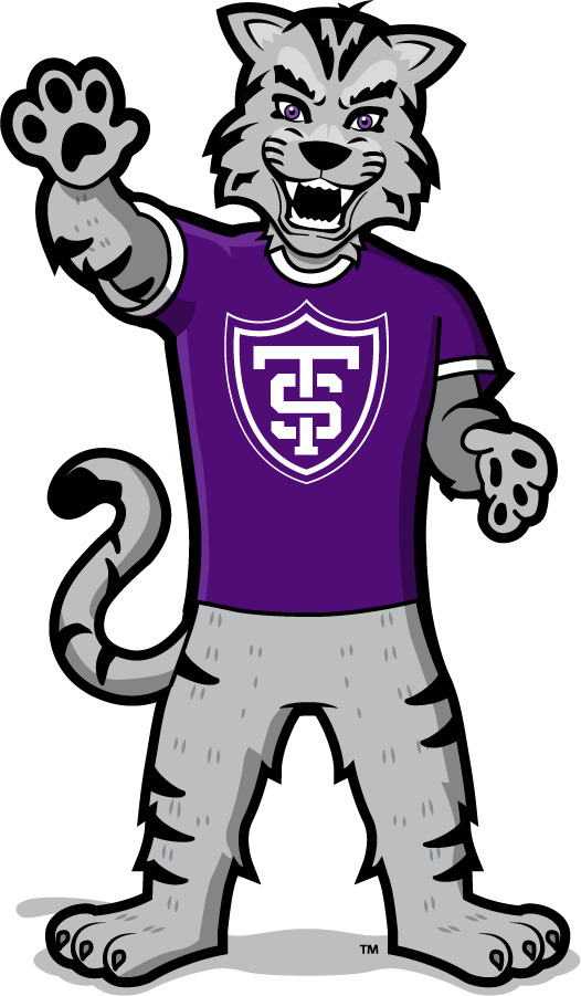St. Thomas Tommies 2021-Pres Mascot Logo DIY iron on transfer (heat transfer)